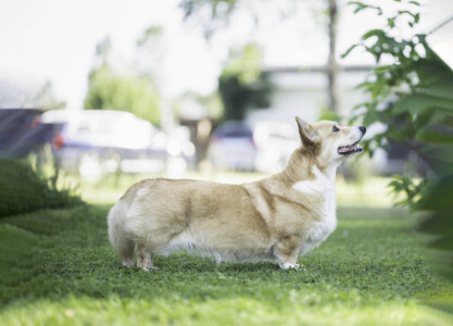 Astersland Good Feeling Astersland Good Feeling