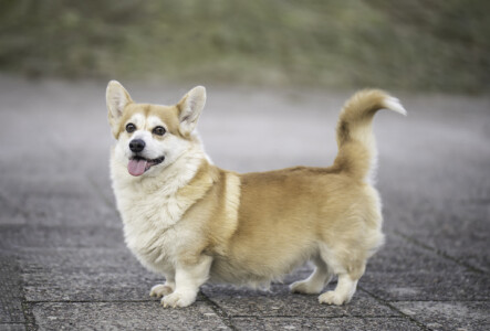 Astersland Gotta Rock On Astersland Gotta Rock On