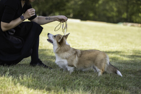 Chess SoPretty Megan Fox Chess SoPretty Megan Fox