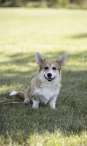 Chess SoPretty Megan Fox Chess SoPretty Megan Fox