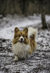 Milli Miller Otto Olvar