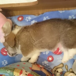 Nii sai kõik alguse ehk kõige esimene minu tehtud foto Ericust Eric