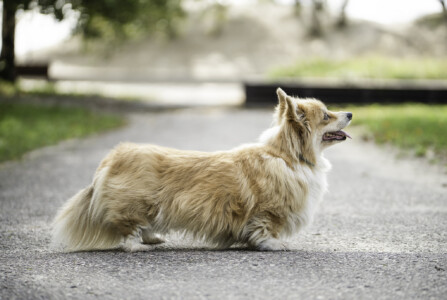 Astersland Gotta Love Me Astersland Gotta Love Me