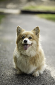 Astersland Gotta Love Me Astersland Gotta Love Me