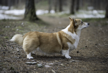 Astersland Goodbye To Yesterday Astersland Goodbye To Yesterday