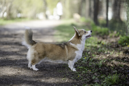 Norbon Hill My Crush Beam Of Sun Norbon Hill My Crush Beam Of Sun