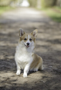 Norbon Hill My Crush Beam Of Sun Norbon Hill My Crush Beam Of Sun