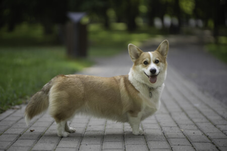 Norbon Hill My Crush Billie Jean Norbon Hill My Crush Billie Jean